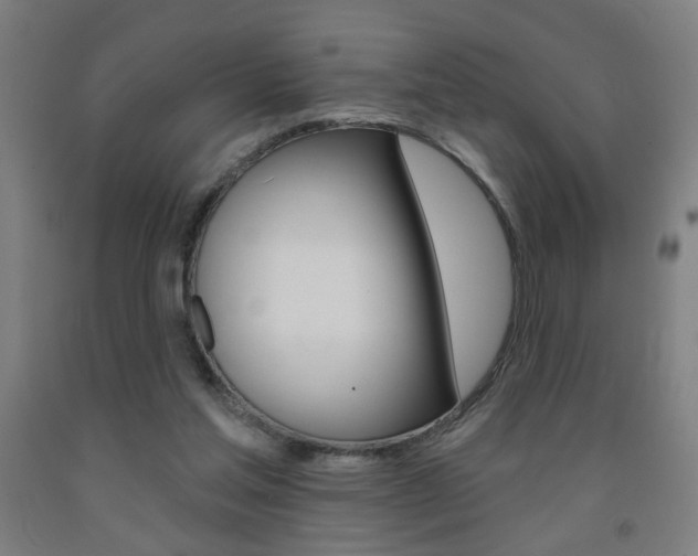 X0000093250205200709261604
