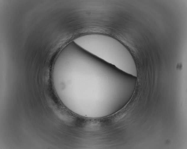 X0000093250206200709261604
