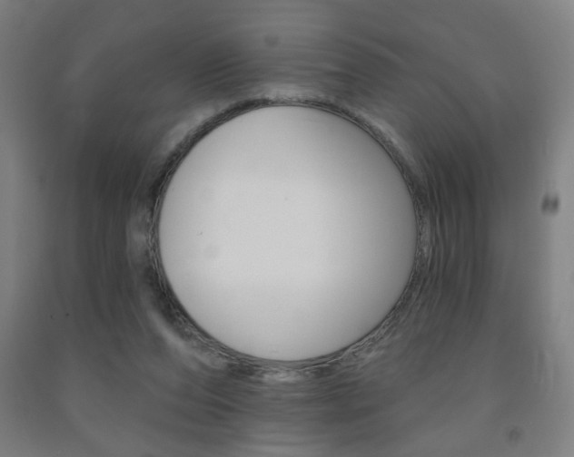 X0000093250208200709261604