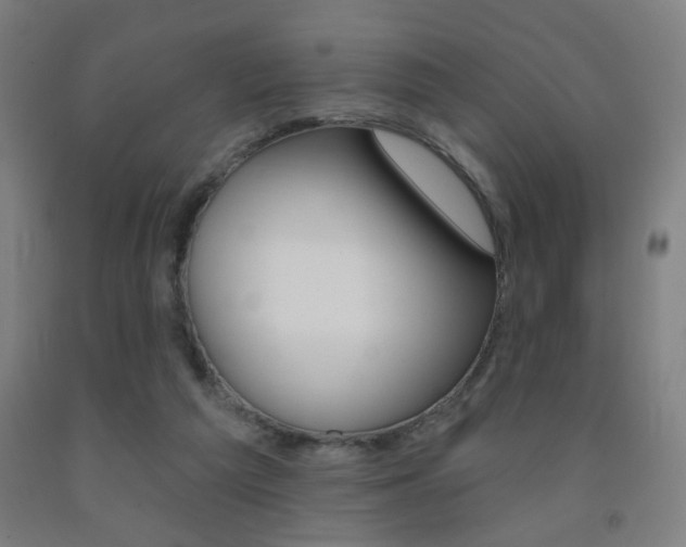 X0000093250209200709261604