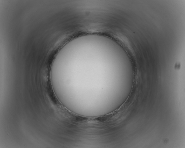 X0000093250210200709261604