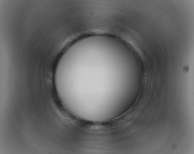 X0000093250212200709261604
