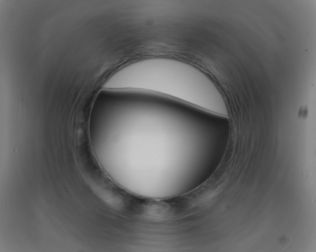 X0000093250215200709261604