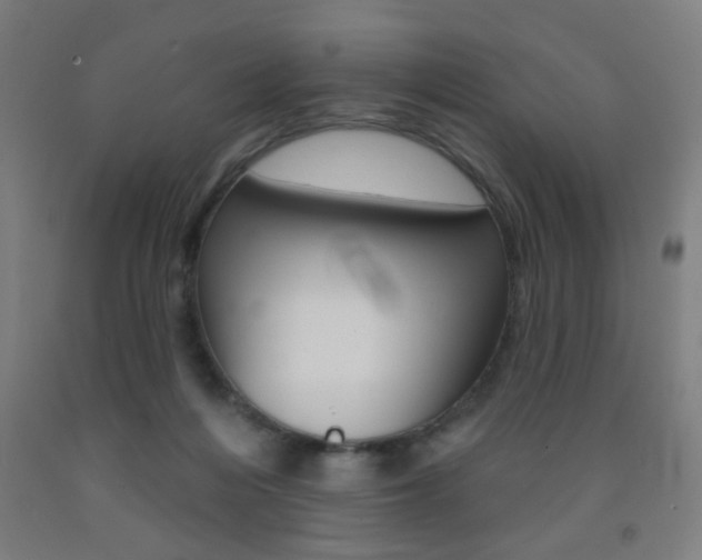X0000093250216200709261604