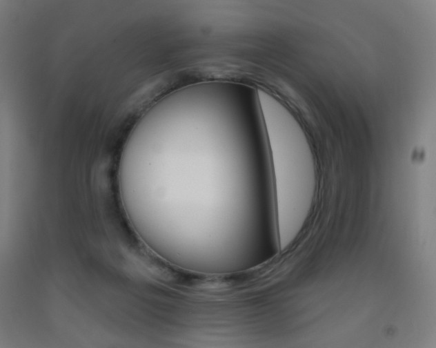 X0000093250217200709261604