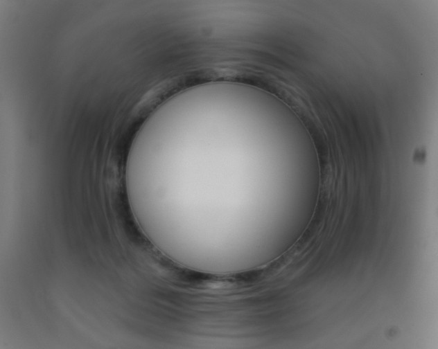 X0000093250220200709261604
