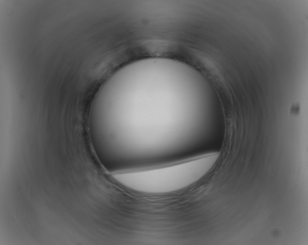 X0000093250221200709261604