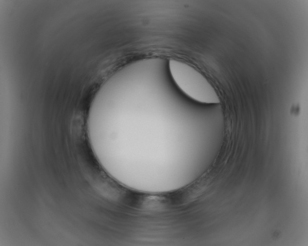 X0000093250222200709261604