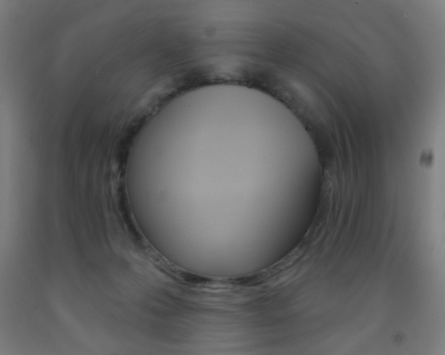 X0000093250223200709261604