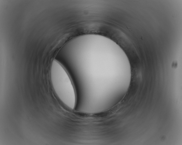 X0000093250224200709261604