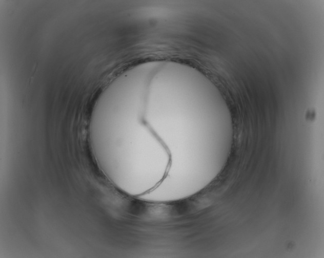 X0000093250226200709261604