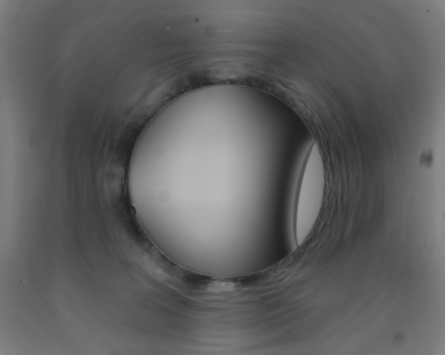X0000093250227200709261604