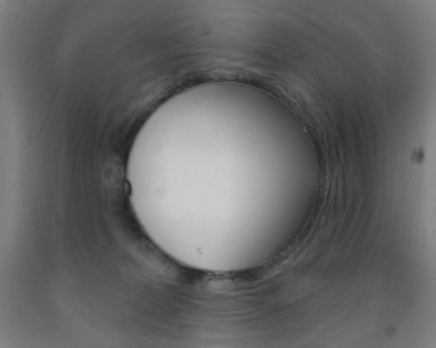 X0000093250228200709261604