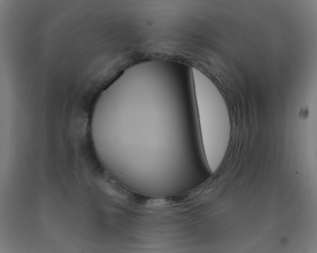 X0000093250231200709261603