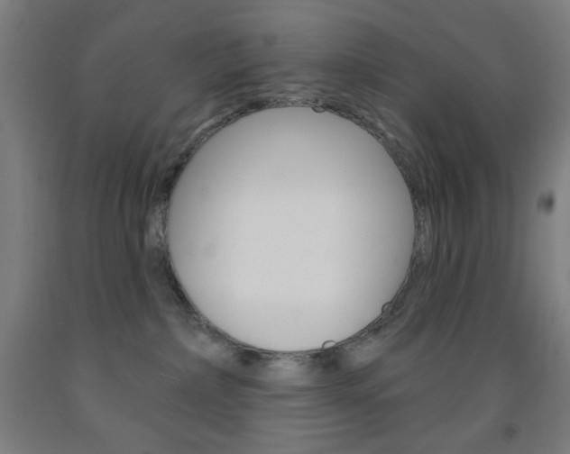 X0000093250236200709261603