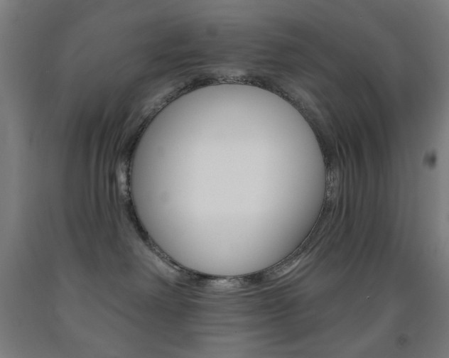 X0000093250238200709261603