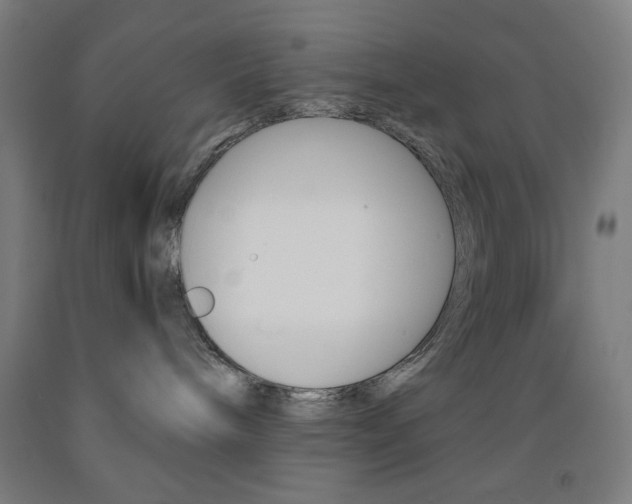 X0000093250240200709261603