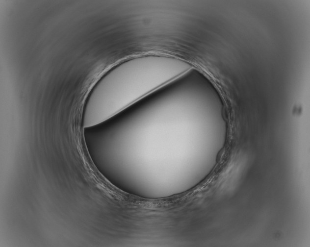 X0000093250241200709261603