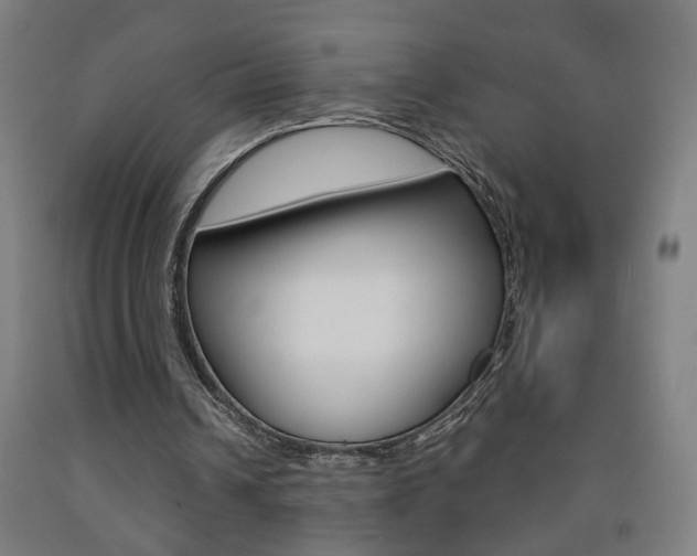 X0000093250242200709261603