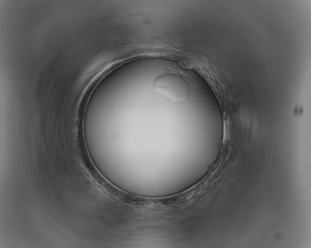 X0000093250243200709261603
