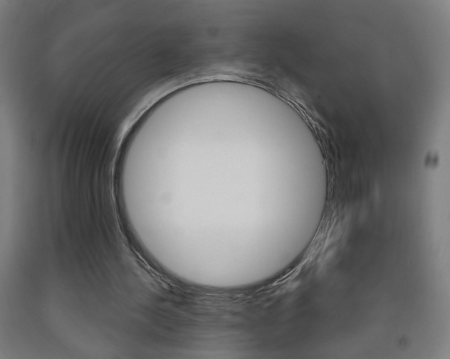 X0000093250244200709261603