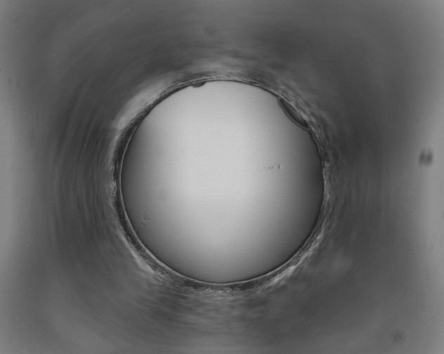 X0000093250245200709261603