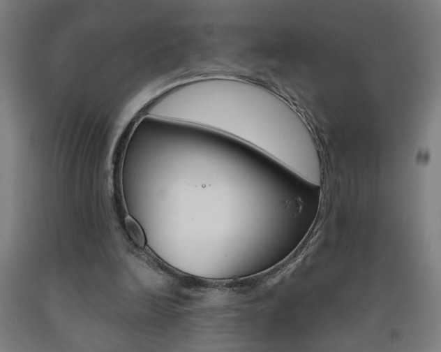 X0000093250246200709261603