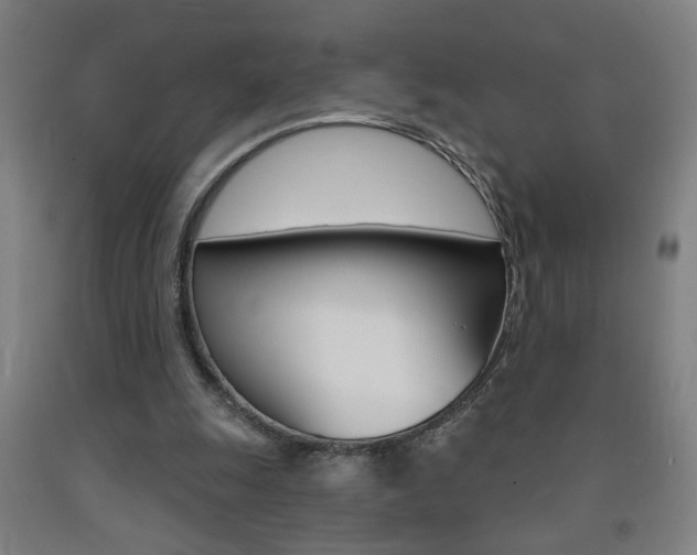 X0000093250247200709261603