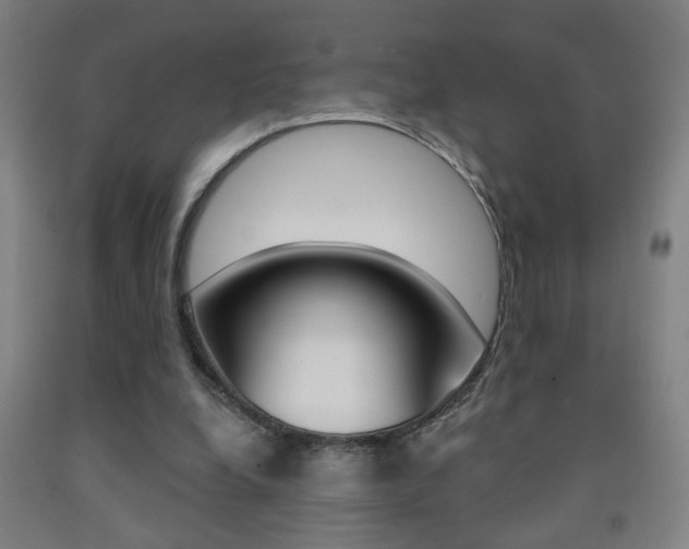 X0000093250248200709261603