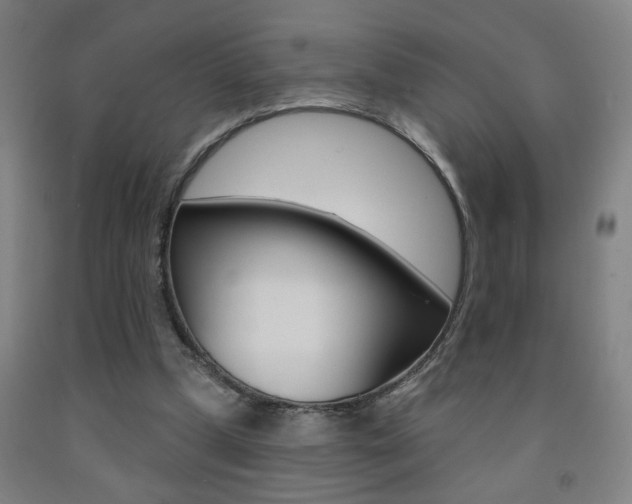 X0000093250249200709261603