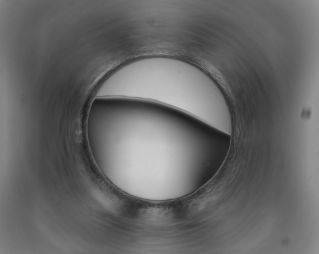 X0000093250251200709261603