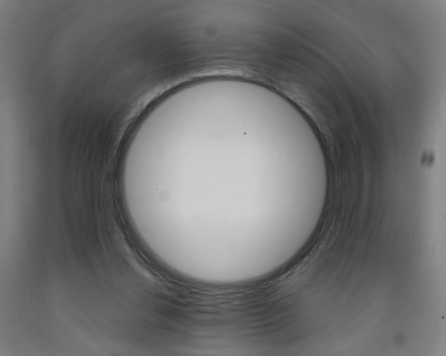 X0000093250252200709261603