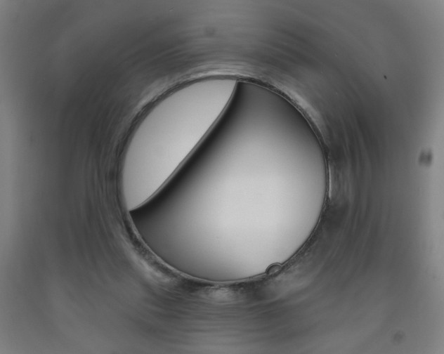 X0000093250253200709261603