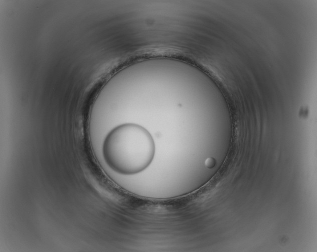 X0000093250254200709261603