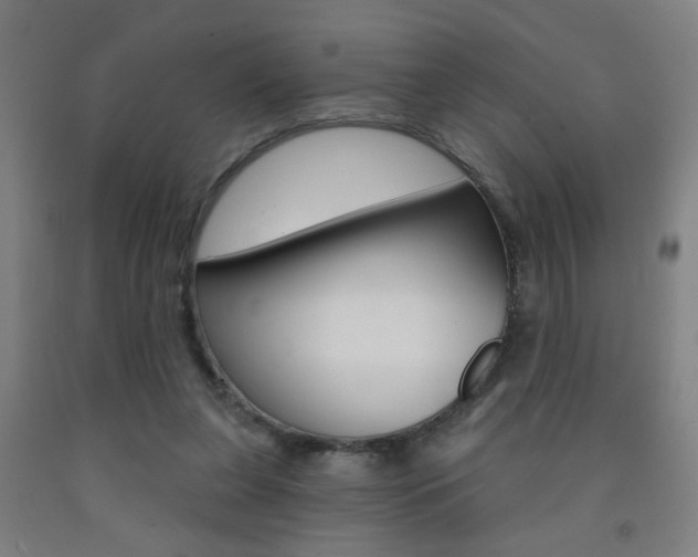 X0000093250255200709261603