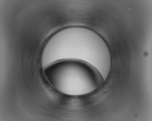 X0000093250256200709261603