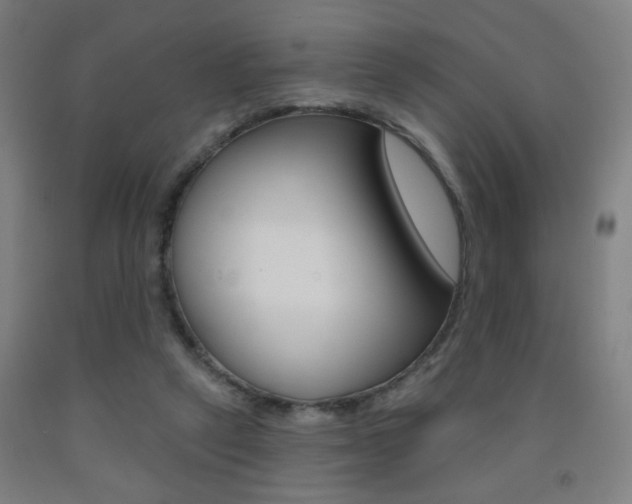 X0000093250257200709261603