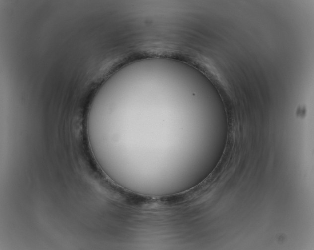 X0000093250259200709261603