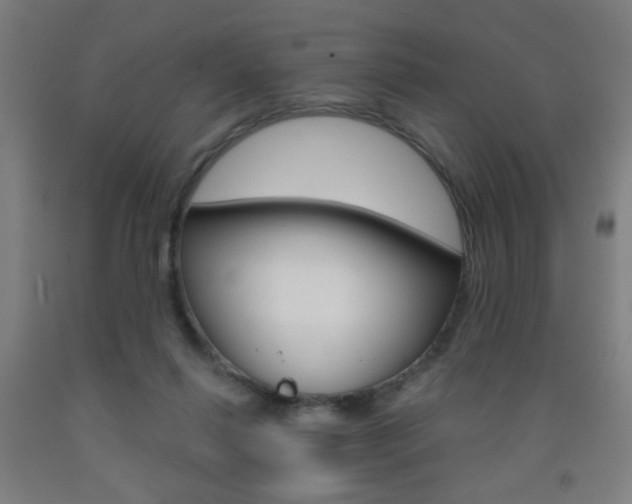 X0000093250262200709261603