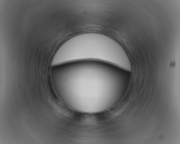 X0000093250263200709261603
