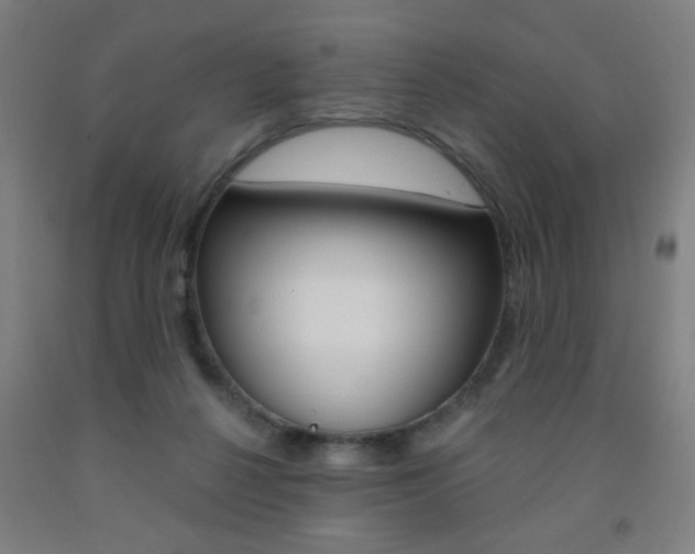 X0000093250264200709261603