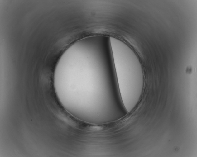 X0000093250265200709261603