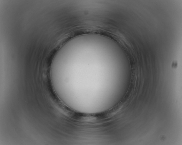 X0000093250266200709261603
