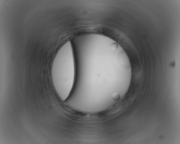 X0000093250270200709261603