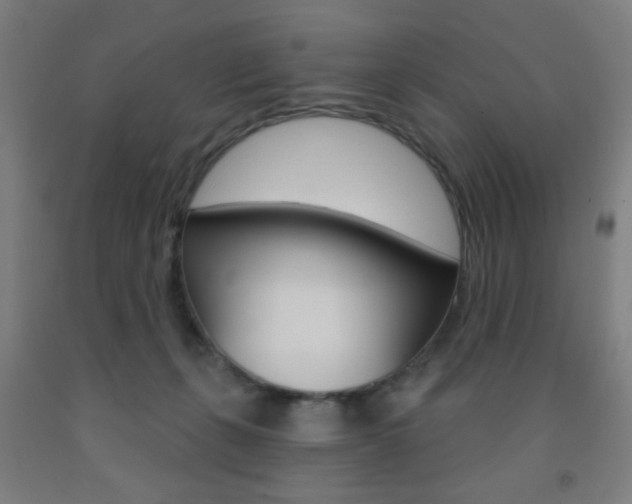 X0000093250271200709261603