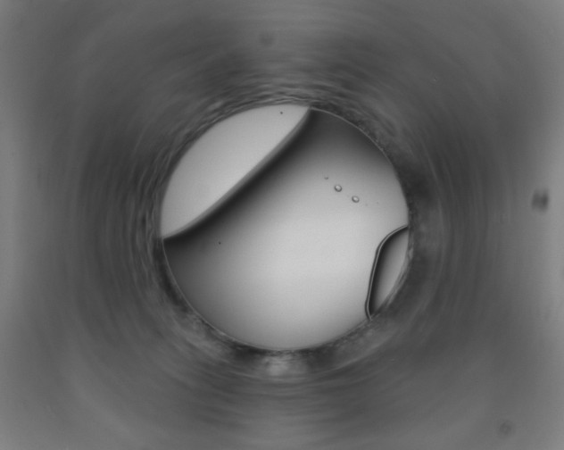 X0000093250275200709261603