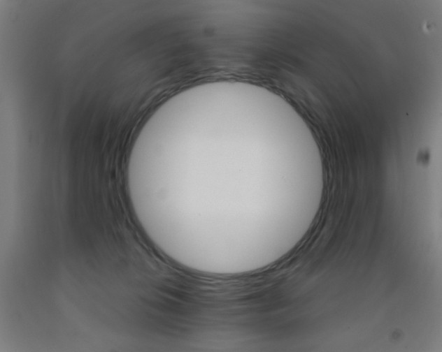 X0000093250276200709261603