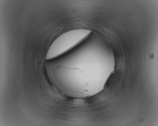X0000093250279200709261603