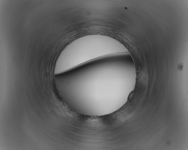 X0000093250283200709261603