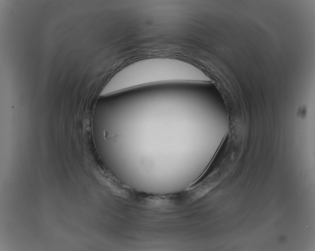 X0000093250284200709261603